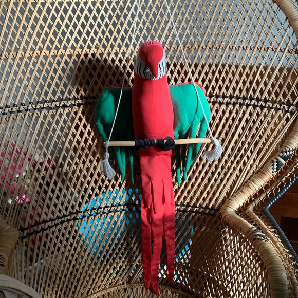 🦜 Parrot - Picture 3 of 5